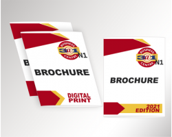 brochures_1745509490